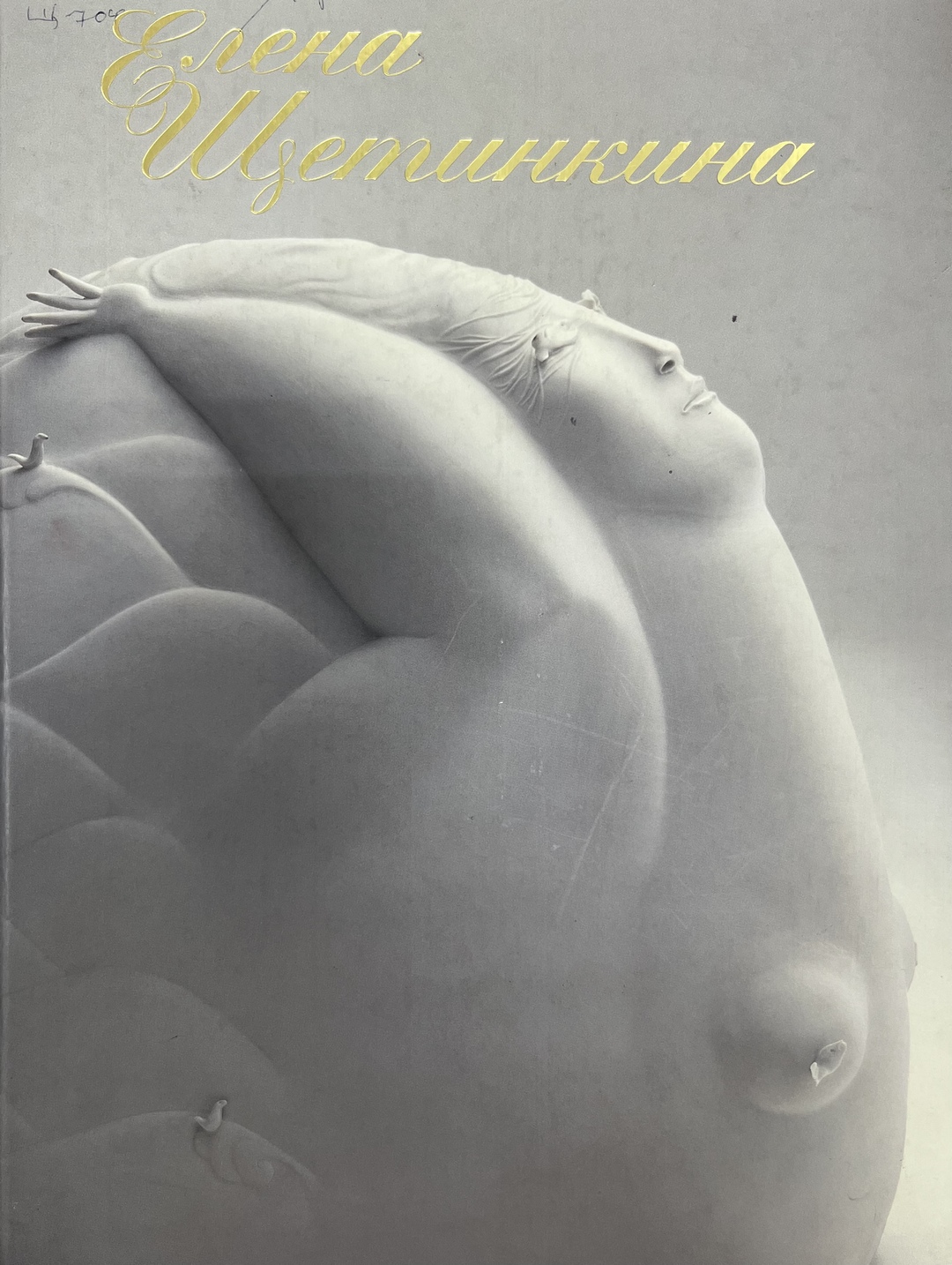 «Елена Щетинкина»