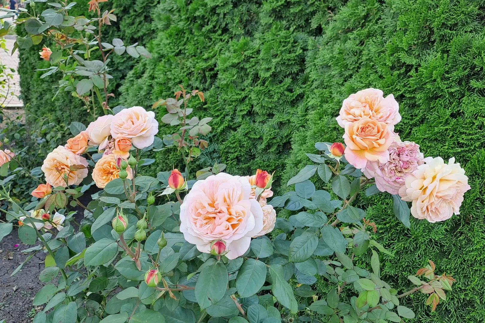 28