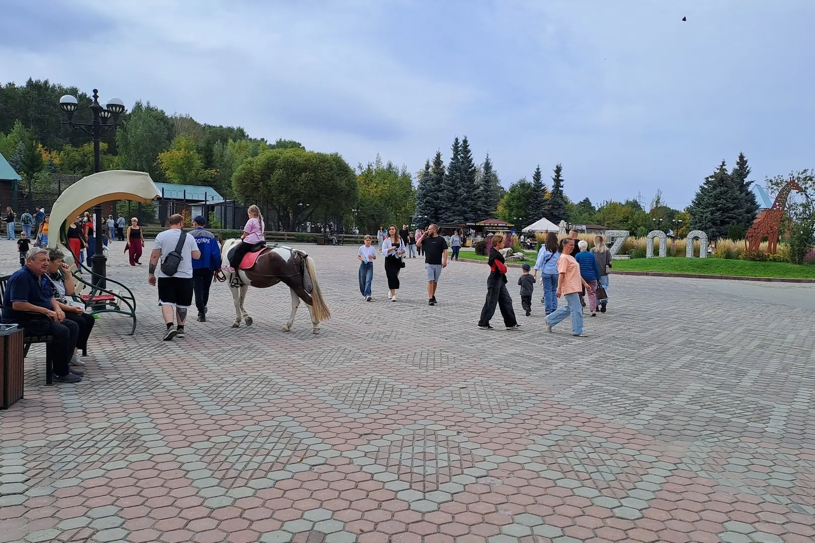 81